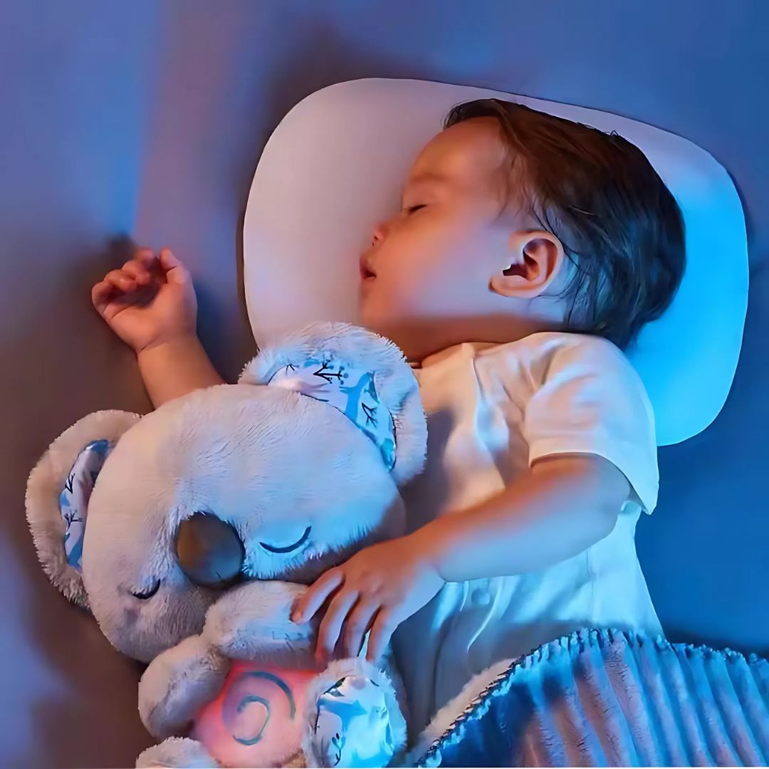 Soothing Koala Bear